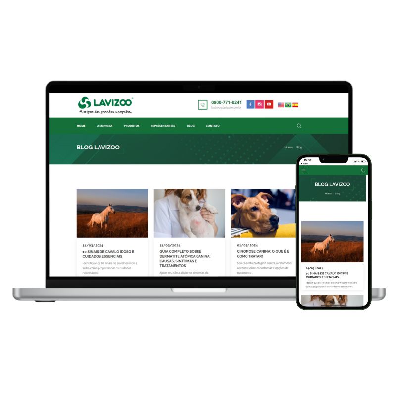 mockup projeto seo blog lavizoo
